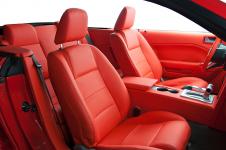 110528_mustang-salon_008_3.jpg